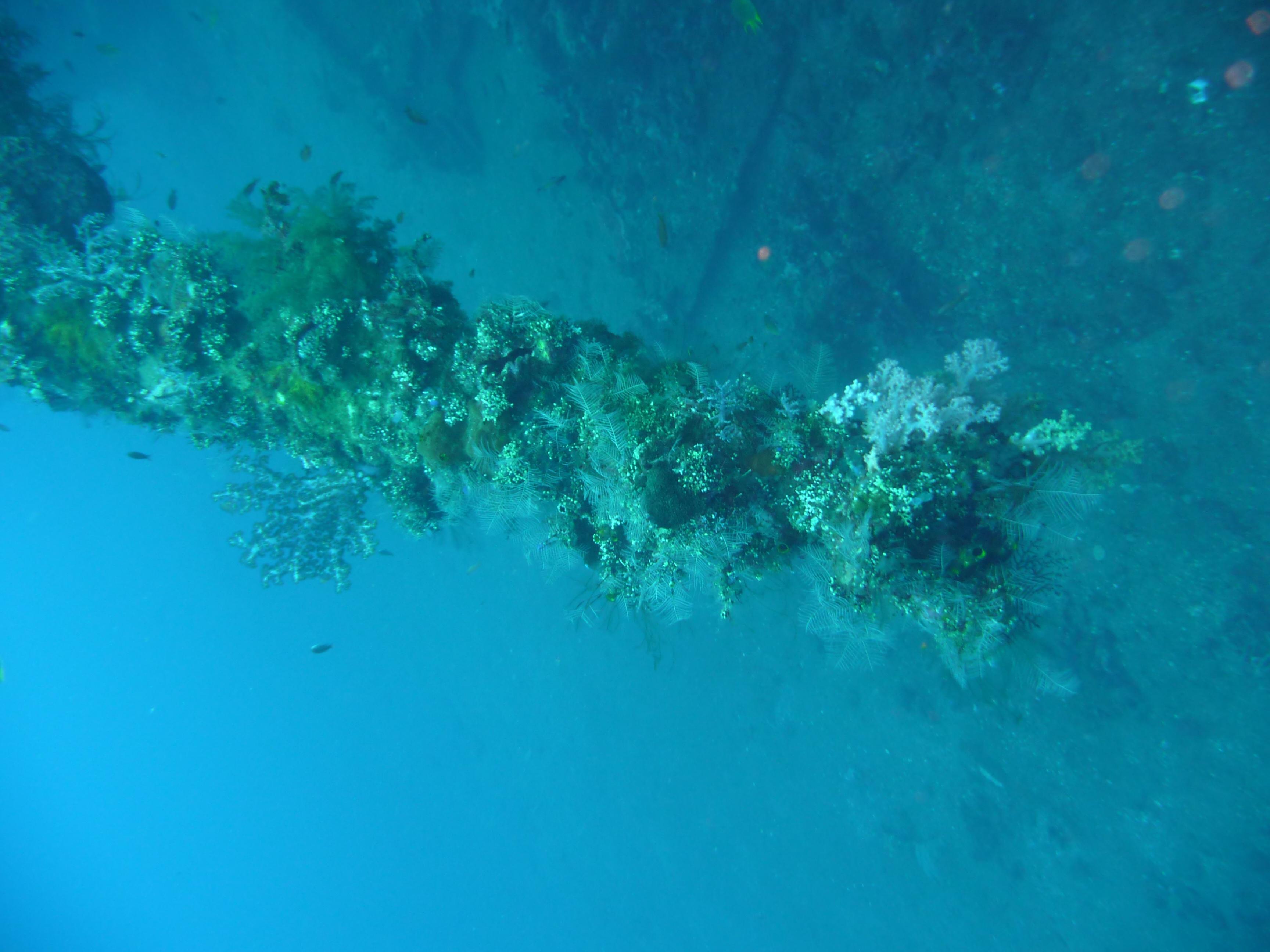 USAT Liberty Wreck