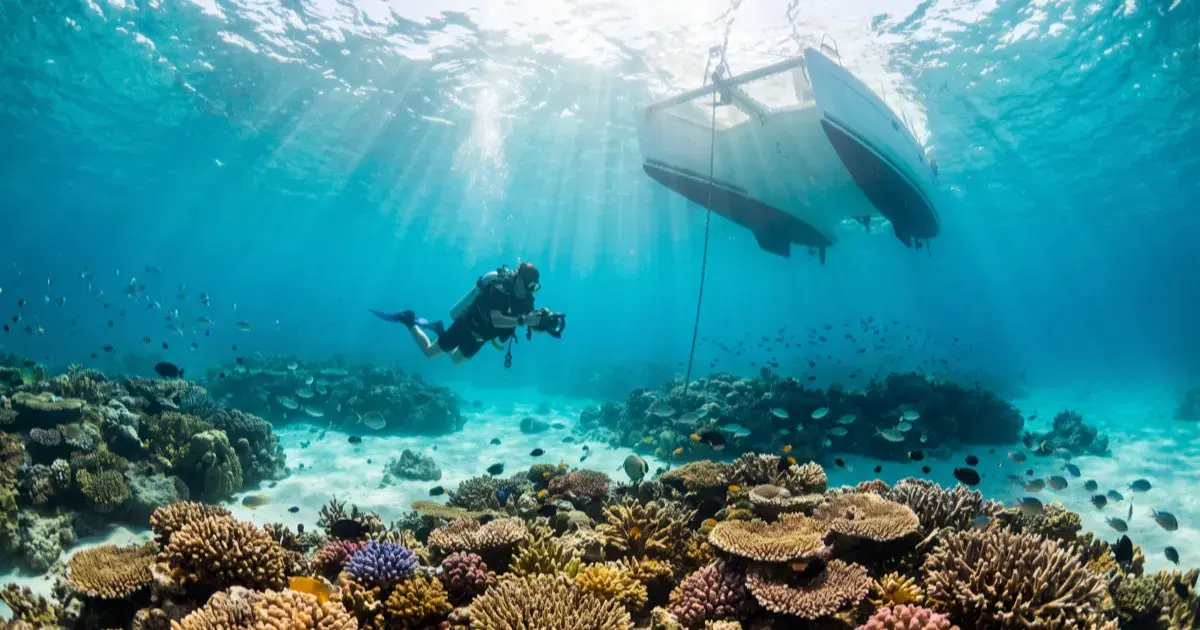 Diving the Whitsundays: Reefs Beyond the Sailing Trips