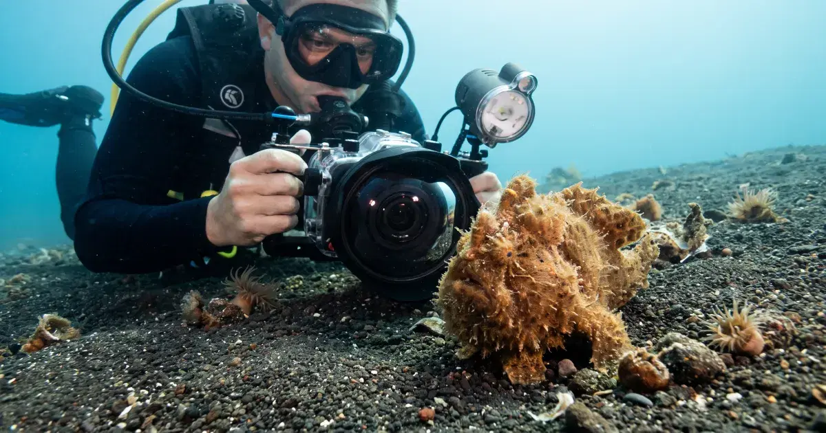 Dauin Muck Diving Guide: Critters on Negros' Black Sand