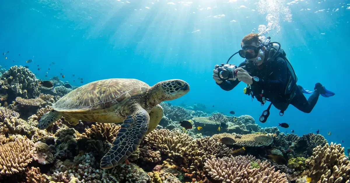How to Log Marine Life Sightings on Every Dive