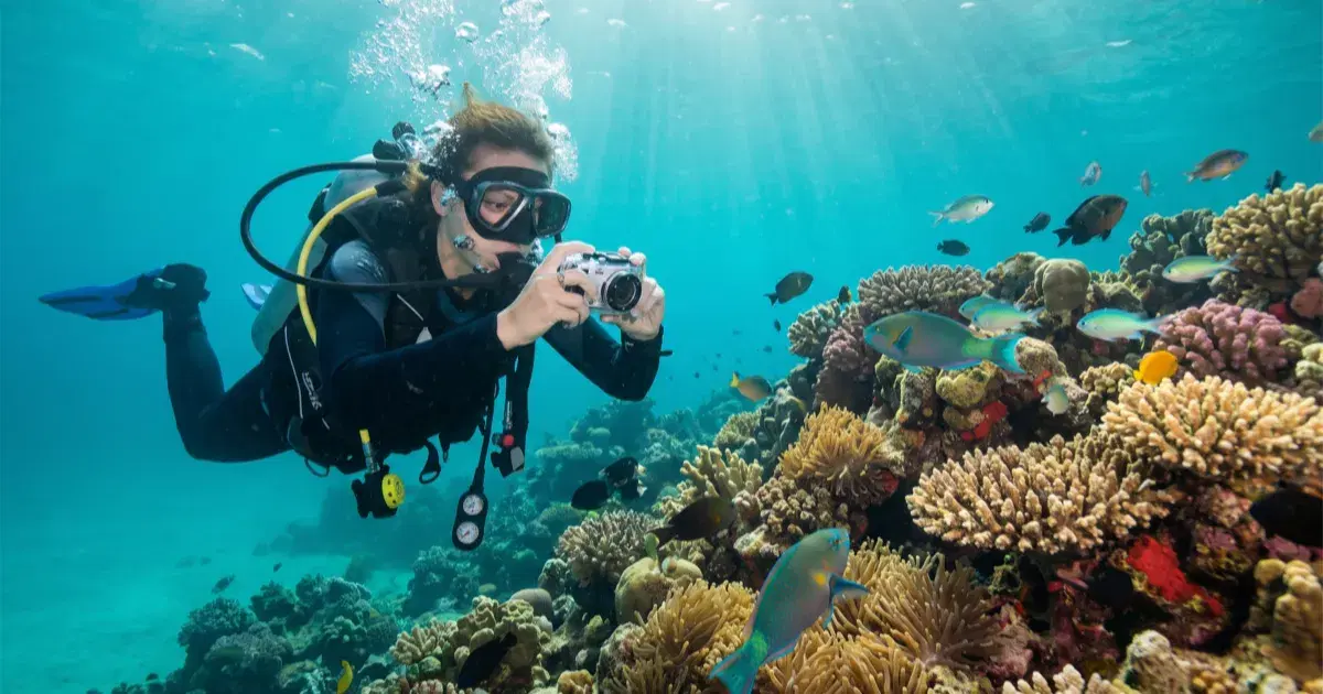 Best Underwater Camera for Beginner Divers in 2026
