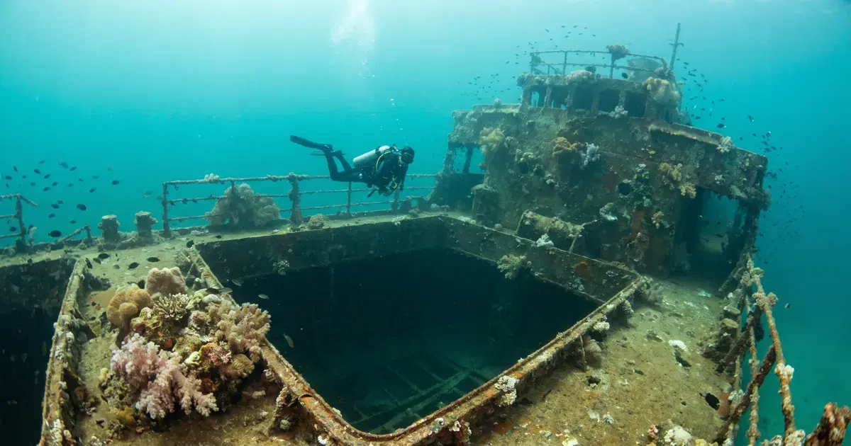 Coron Wreck Diving: Every WWII Wreck You Can Dive