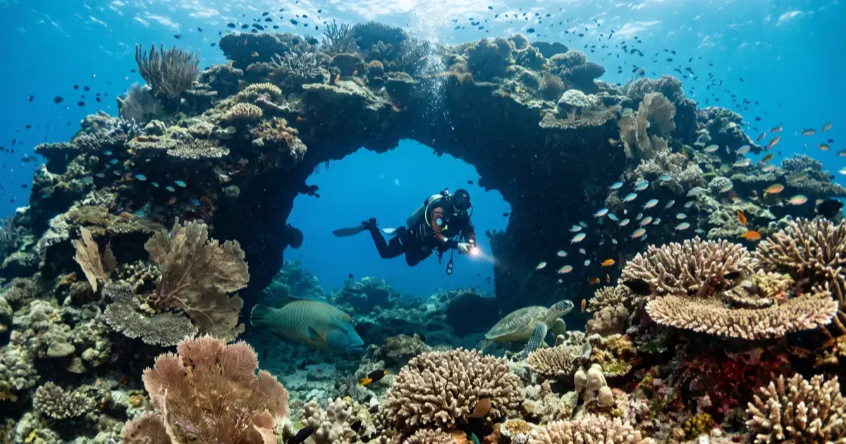 Diving in Okinawa: Japan's Subtropical Reefs, Caves & Wrecks