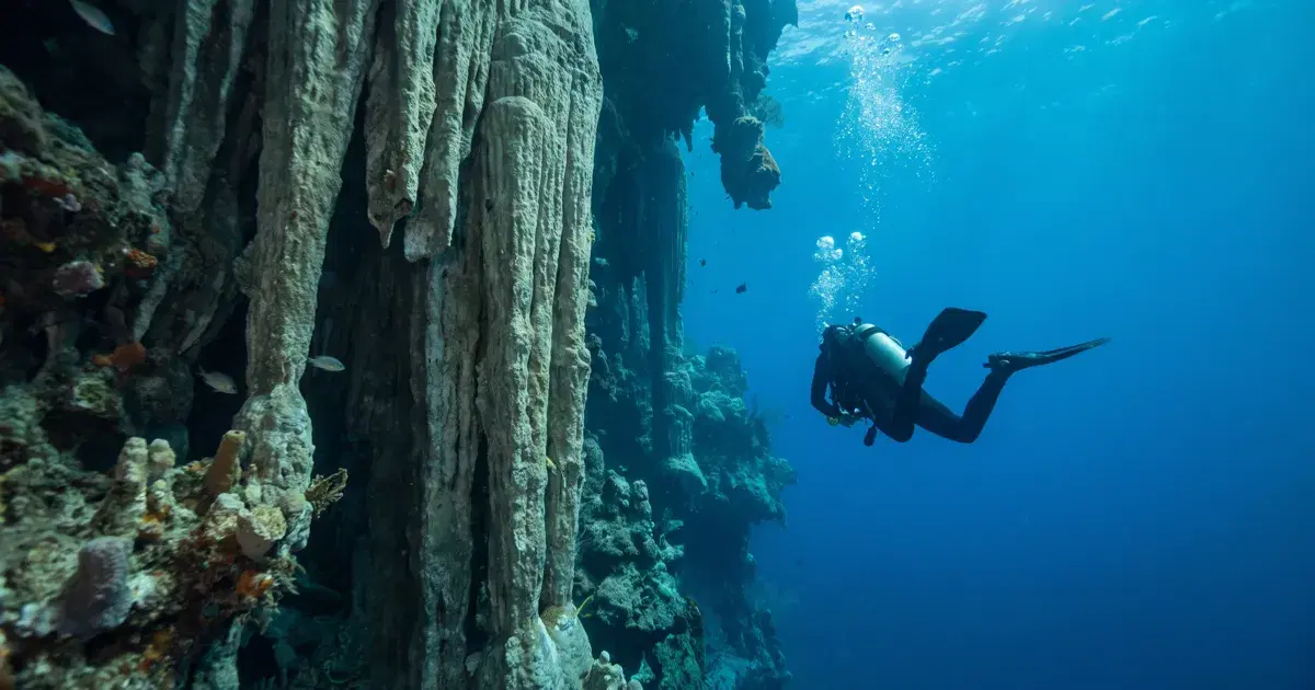 Diving the Great Blue Hole: Is It Worth It, and What Else to Dive at Lighthouse Reef