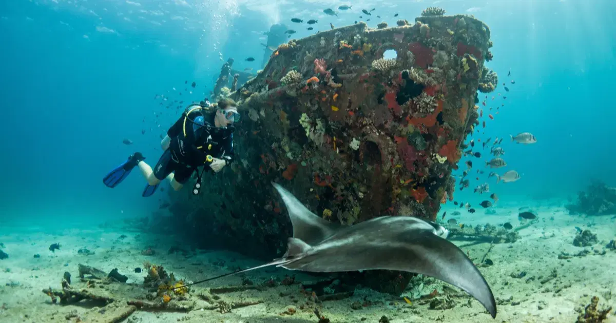 Diving the SS Yongala: Australia's Best Wreck Dive