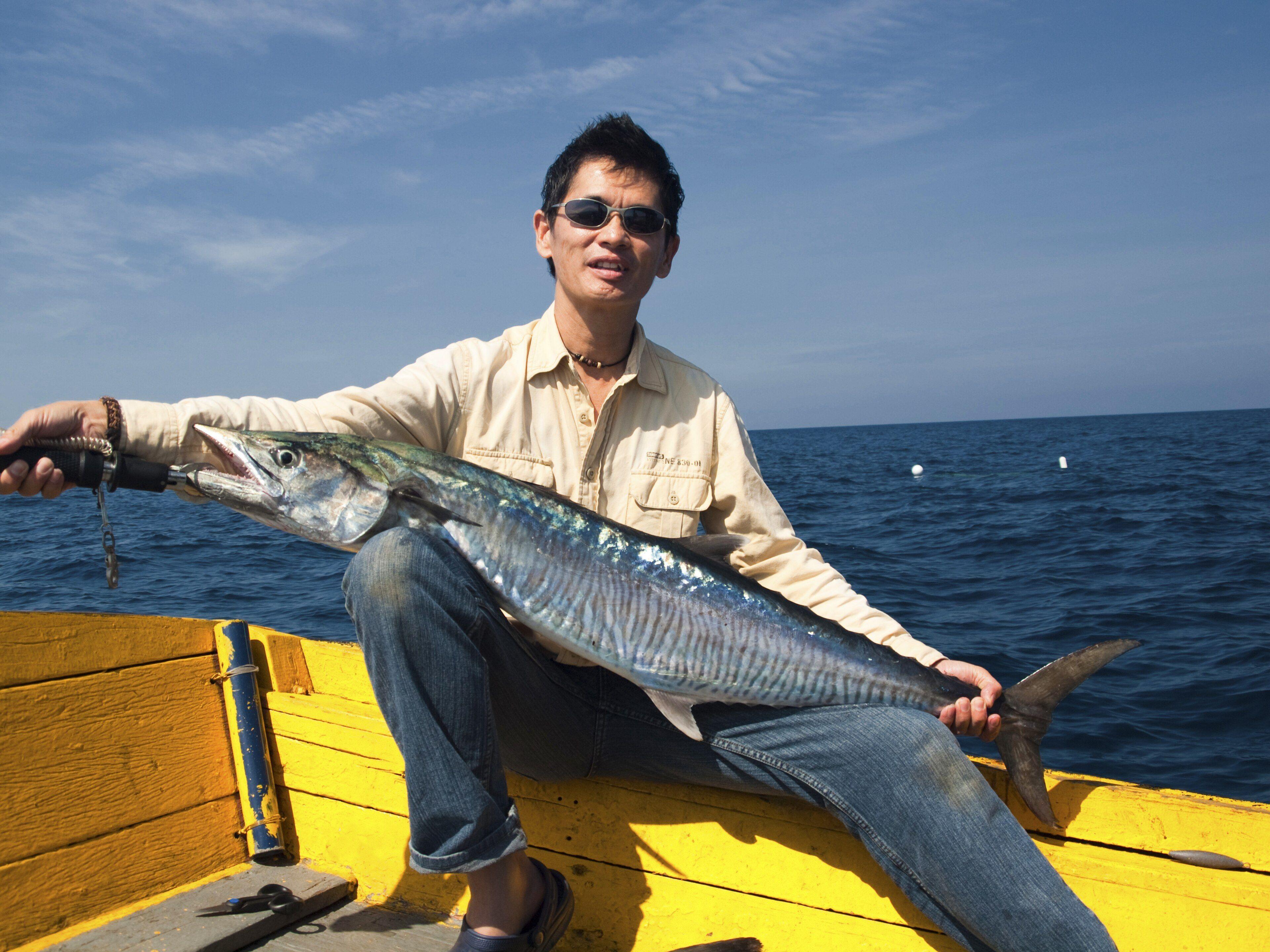 Narrow-barred Spanish Mackerel