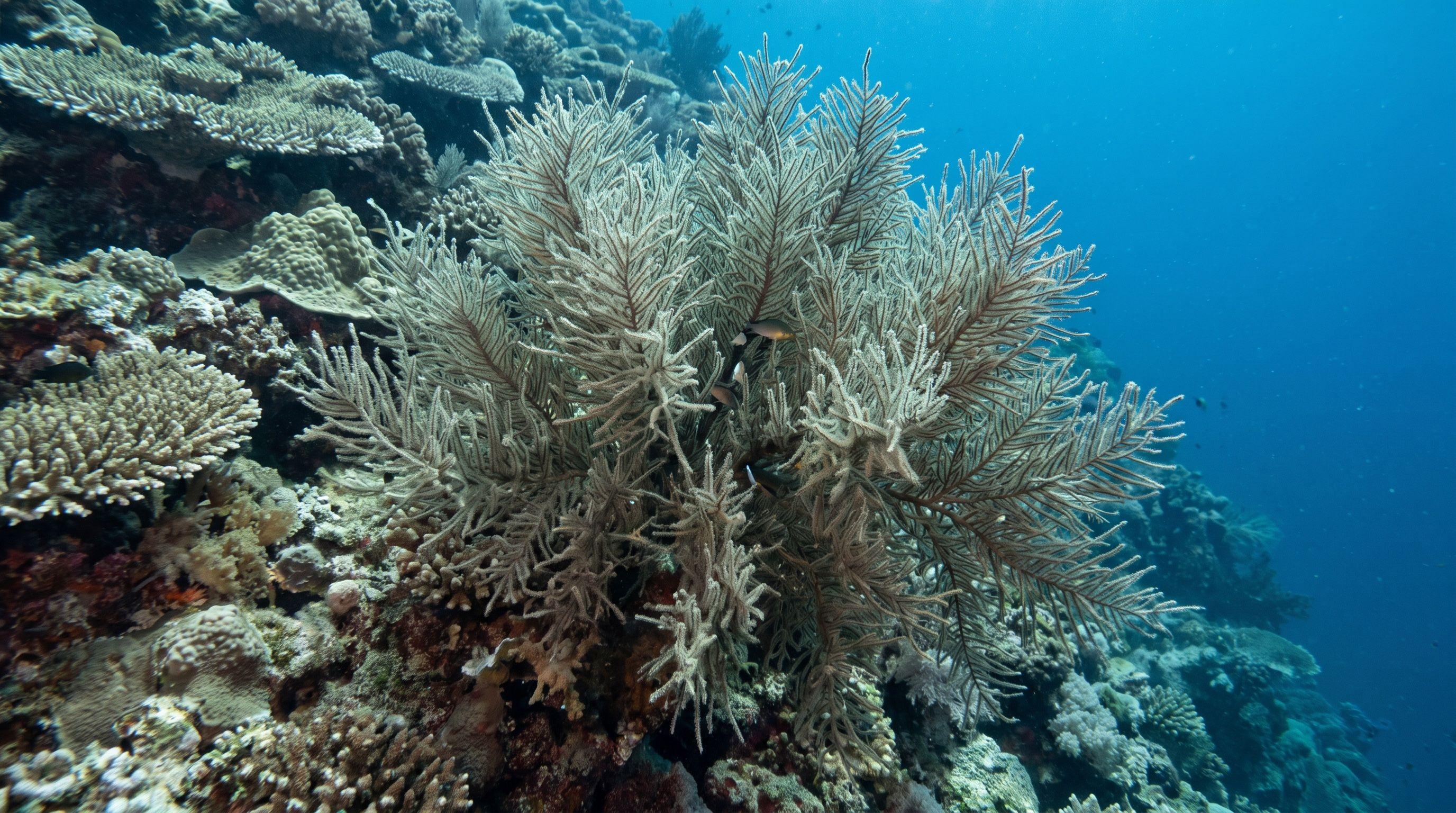AI-generated illustration; species identification unverified. Black Coral Tree (Antipathes spp.)