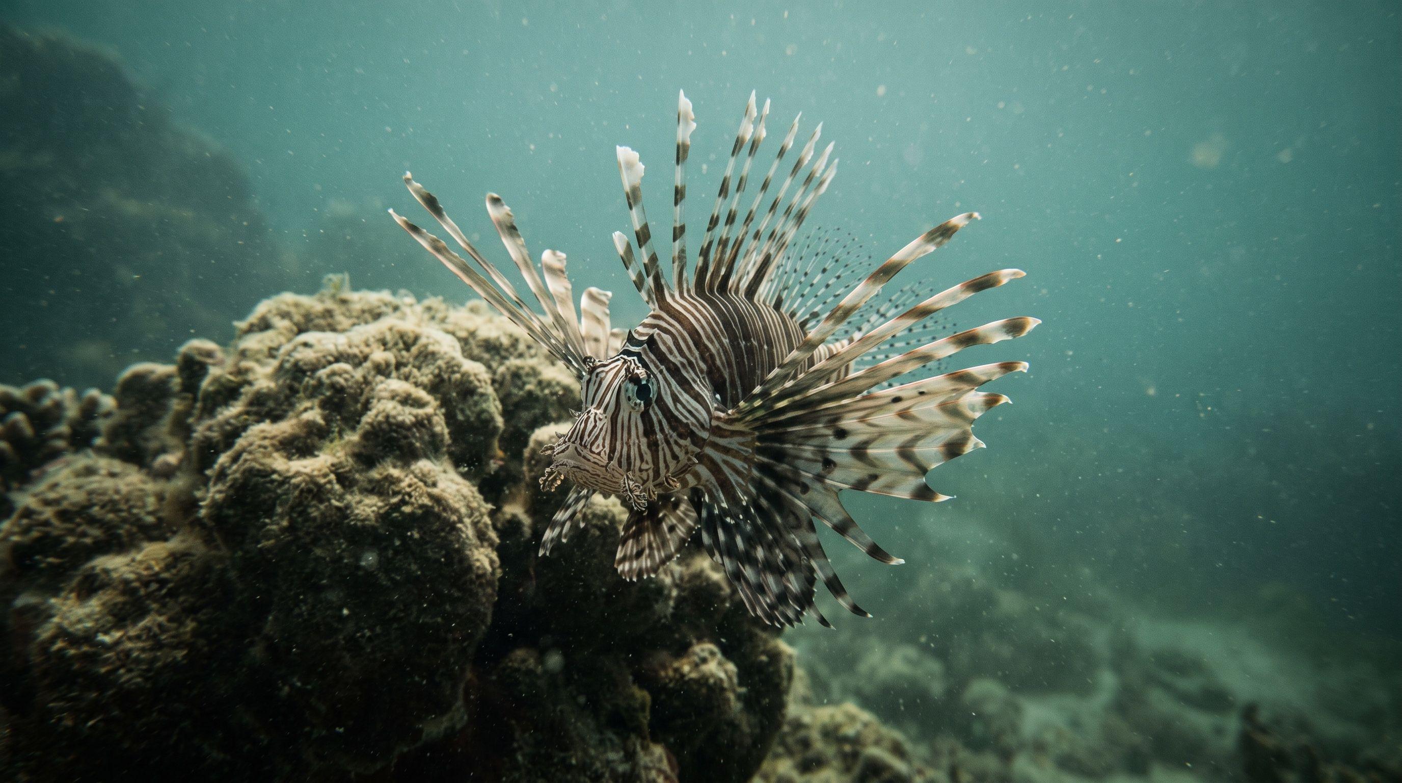 AI-generated illustration; species identification unverified. Lionfish (assorted)