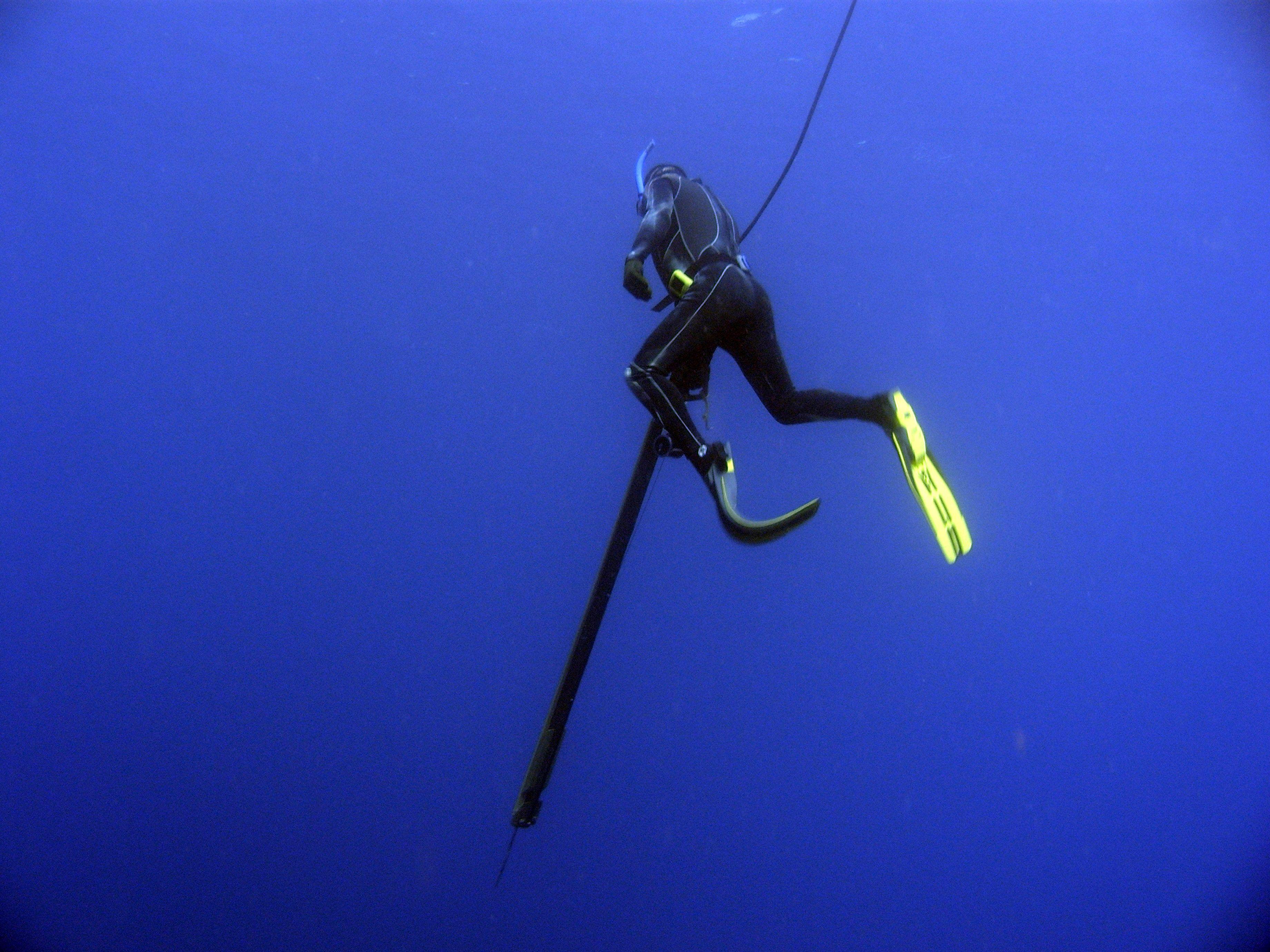 Dogtooth Tuna