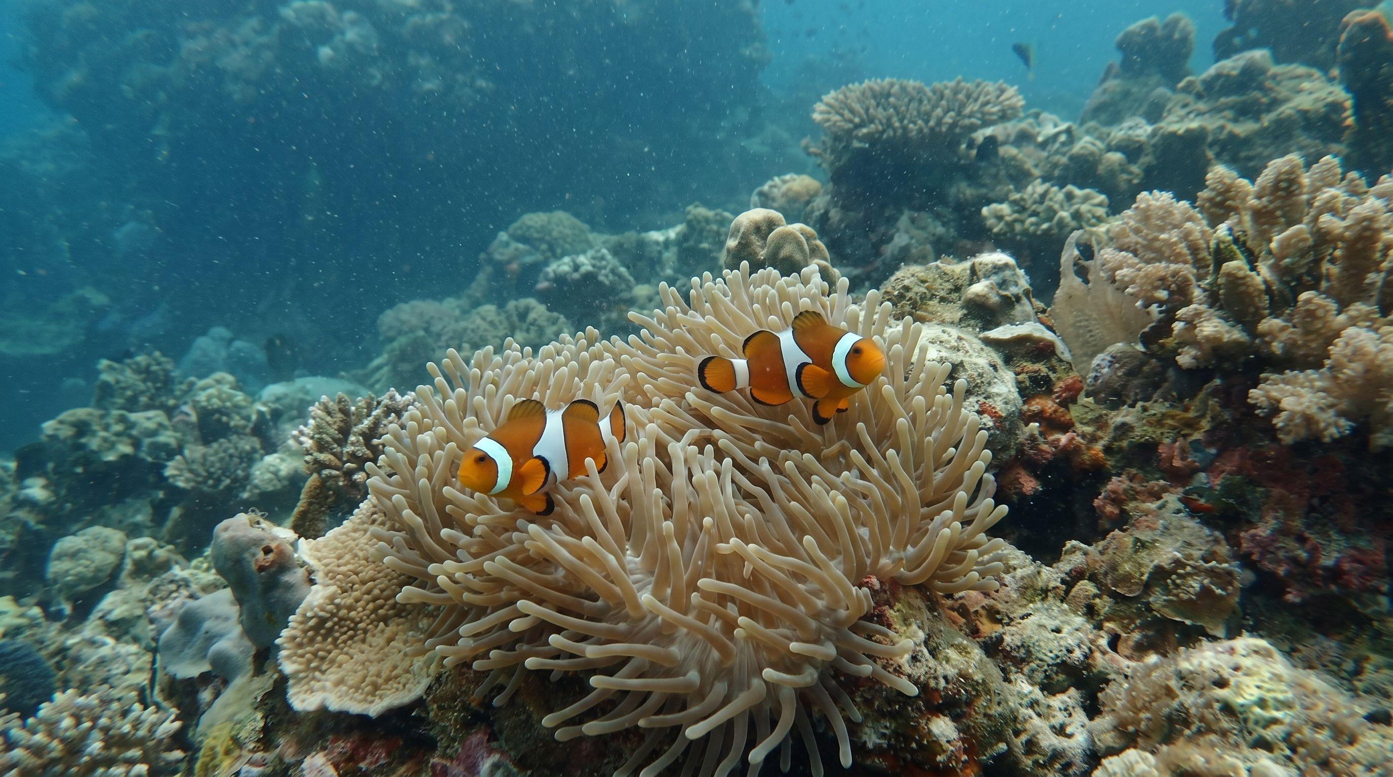 AI-generated illustration; species identification unverified. Anemonefish / Clownfish (assorted)