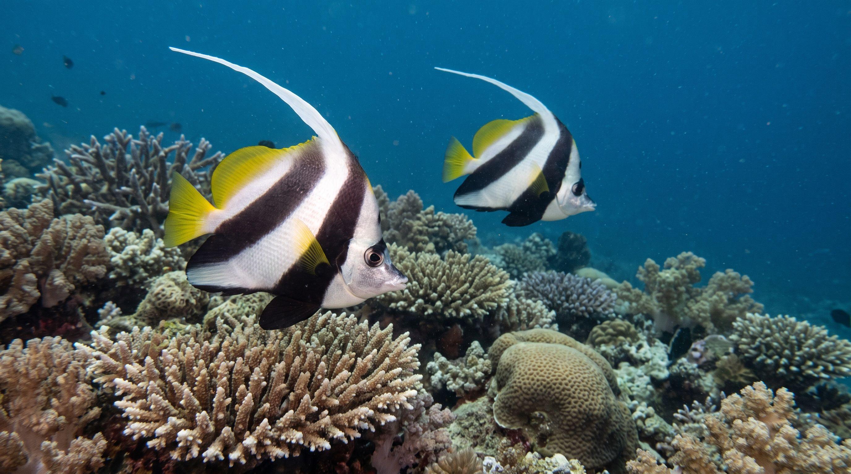 AI-generated illustration; species identification unverified. Longfin Bannerfish (Heniochus acuminatus)