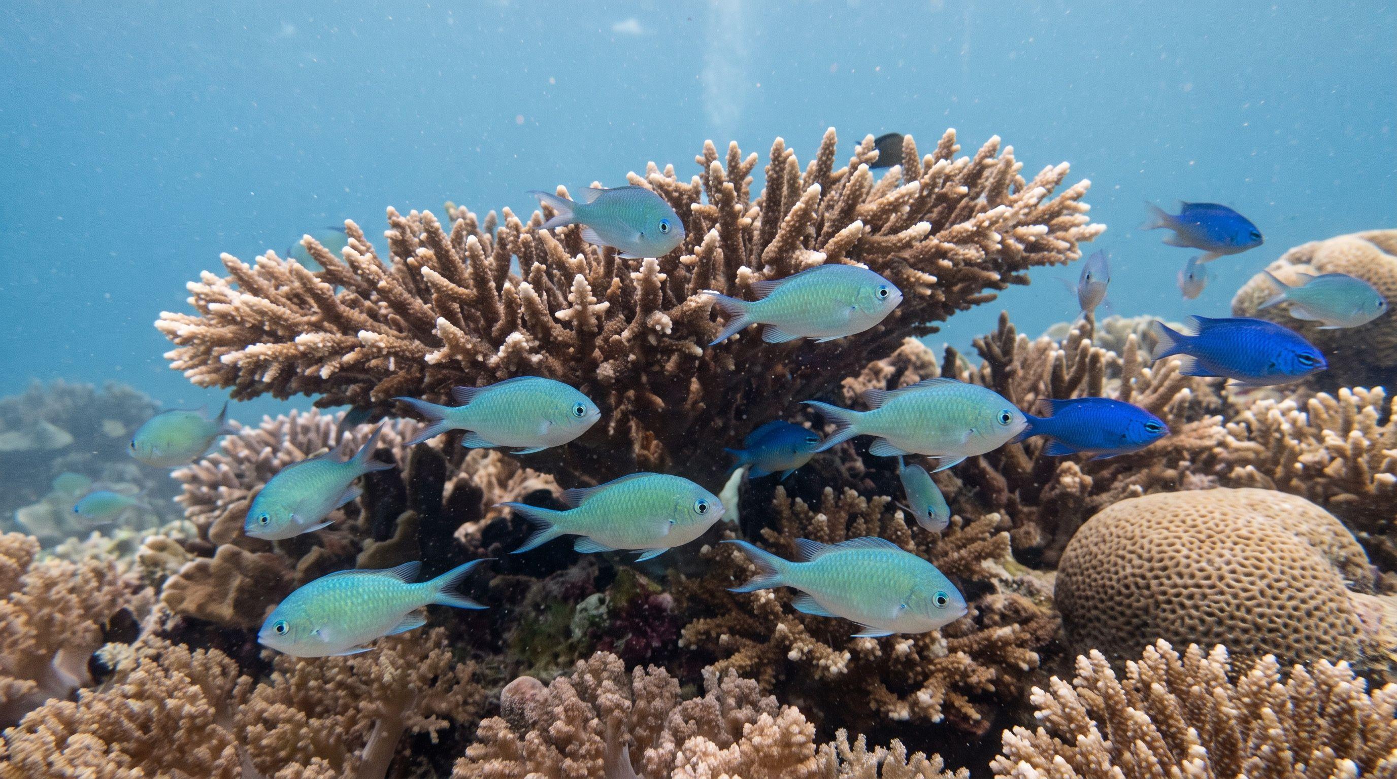 AI-generated illustration; species identification unverified. Damselfish (assorted) (Pomacentridae spp.)
