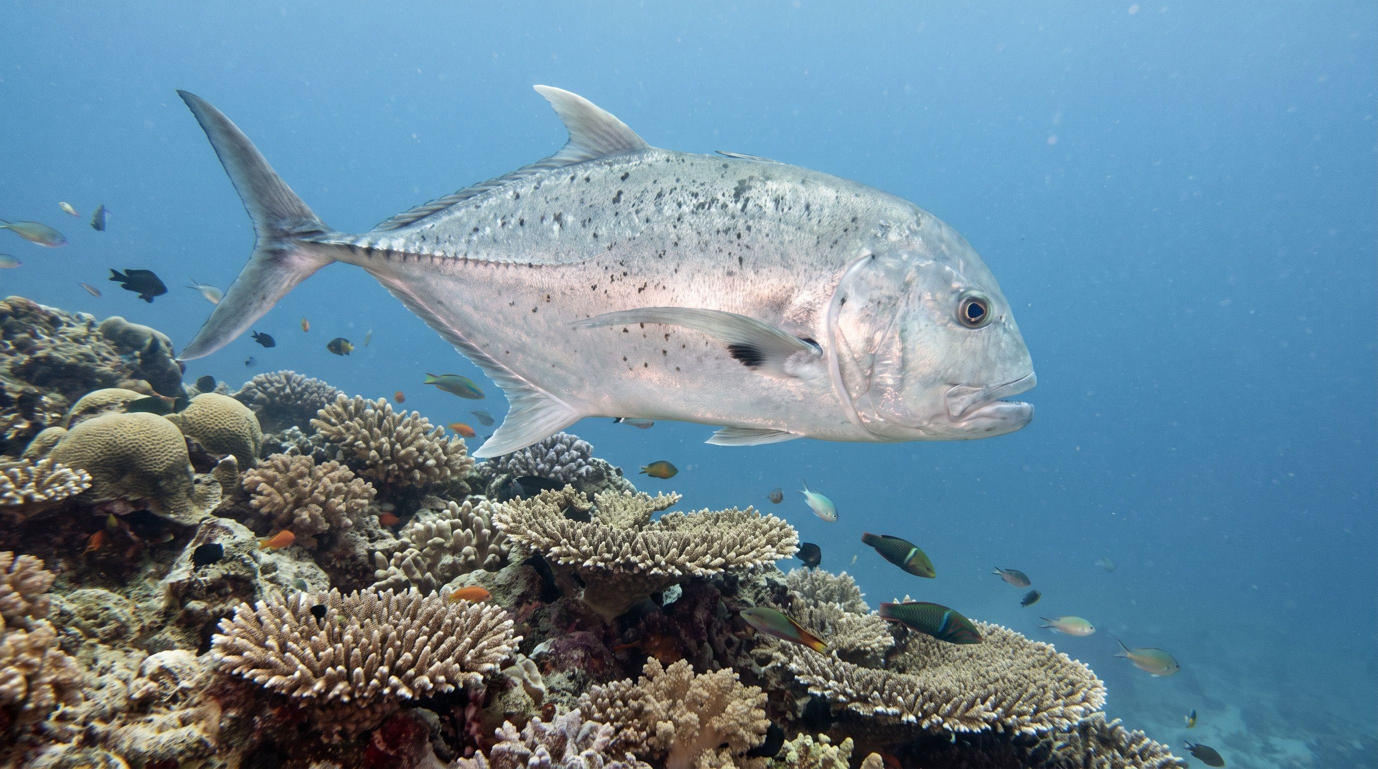 AI-generated illustration; species identification unverified. Giant Trevally (Caranx ignobilis)