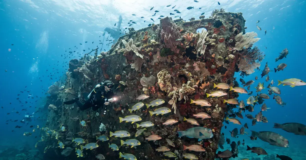 Tulamben Diving Guide: Bali's Shore-Diving Capital