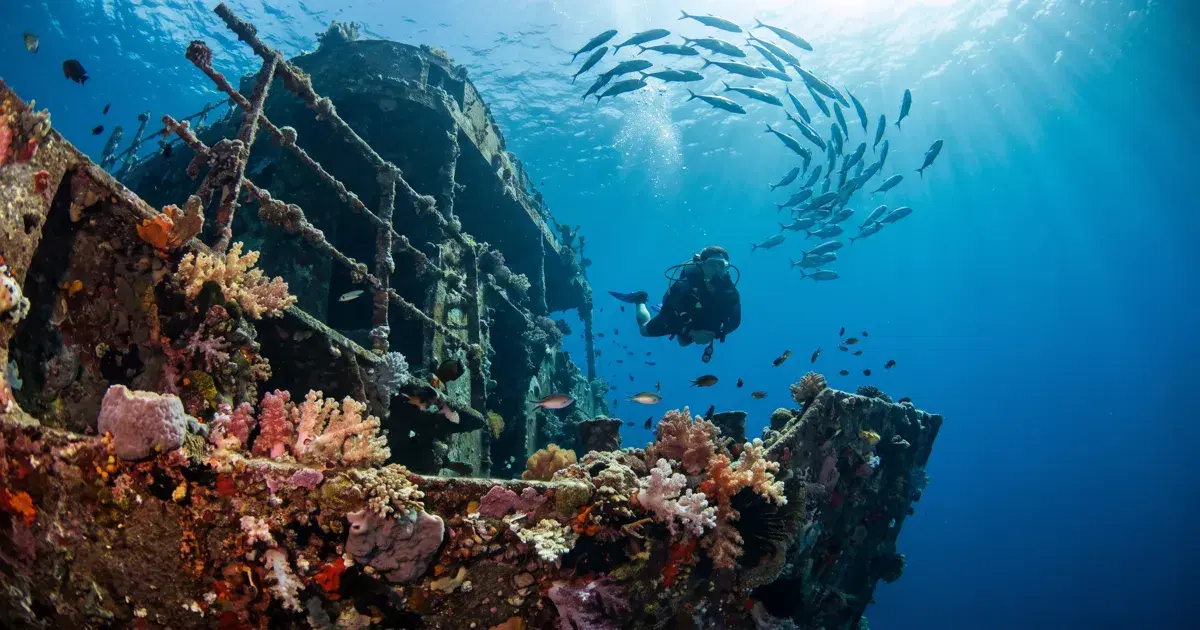 Diving the USAT Liberty: Bali's Most Famous Shore-Entry Wreck