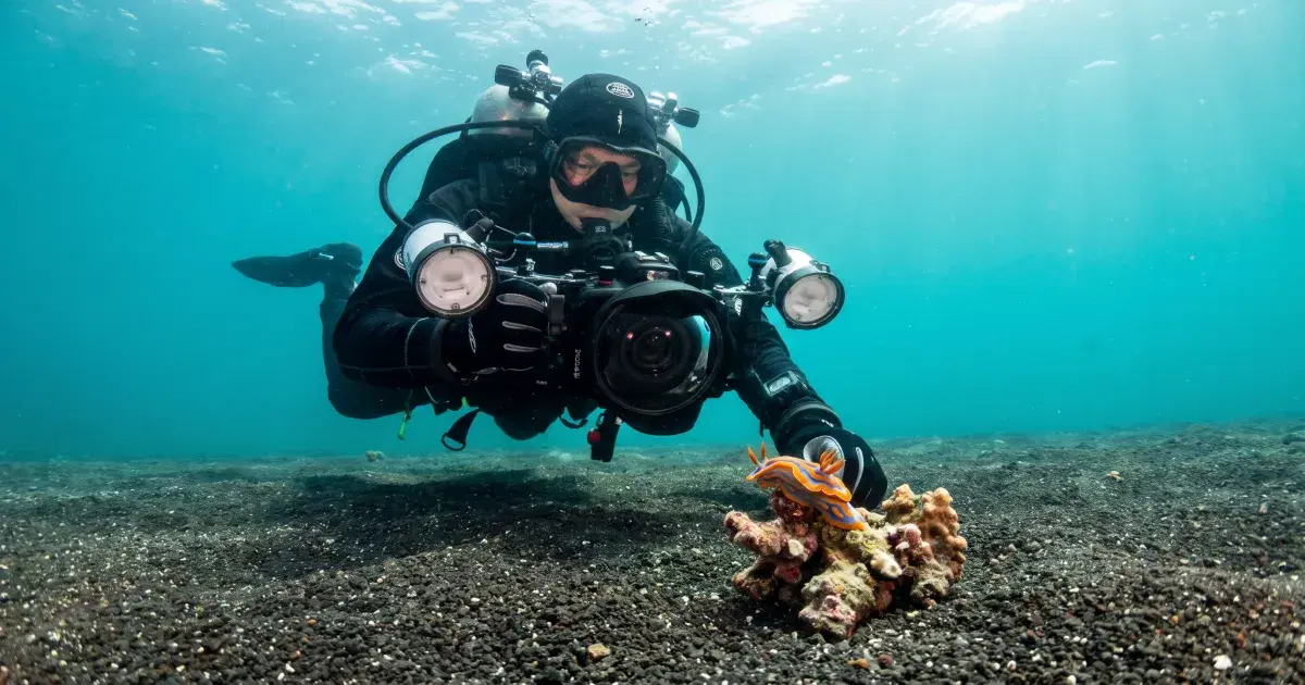 Anilao Diving Guide: The Philippines' Muck and Macro Capital