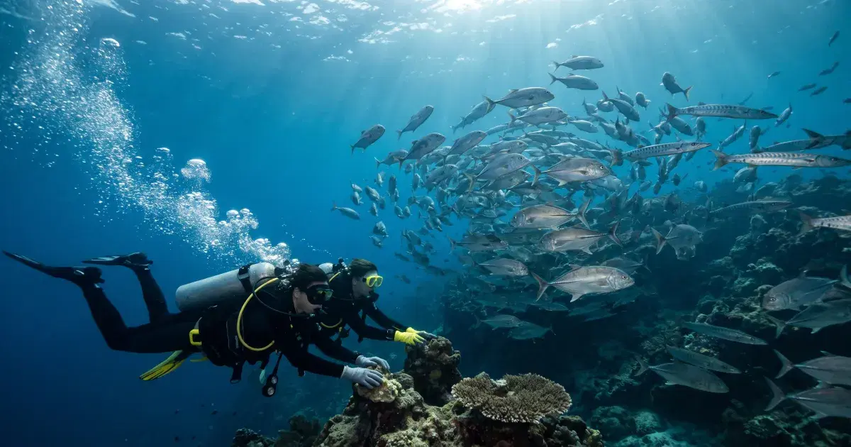 Verde Island Passage Diving: The Center of the Center of Marine Biodiversity
