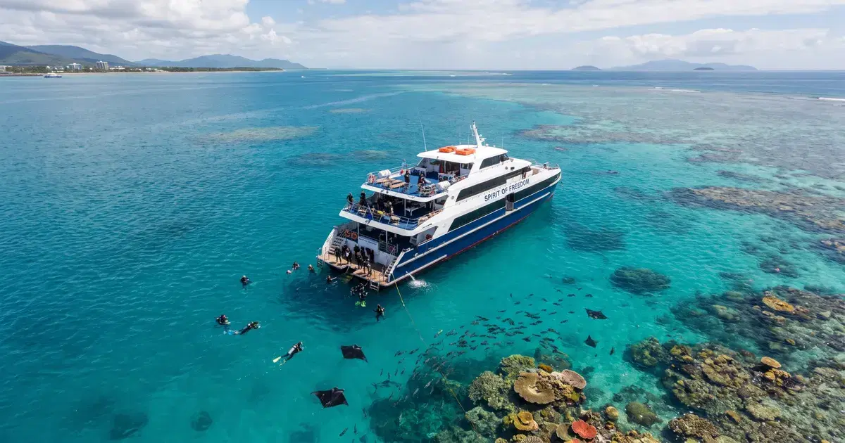 Diving from Cairns: Day Boats vs Liveaboards, and Which Reefs They Reach
