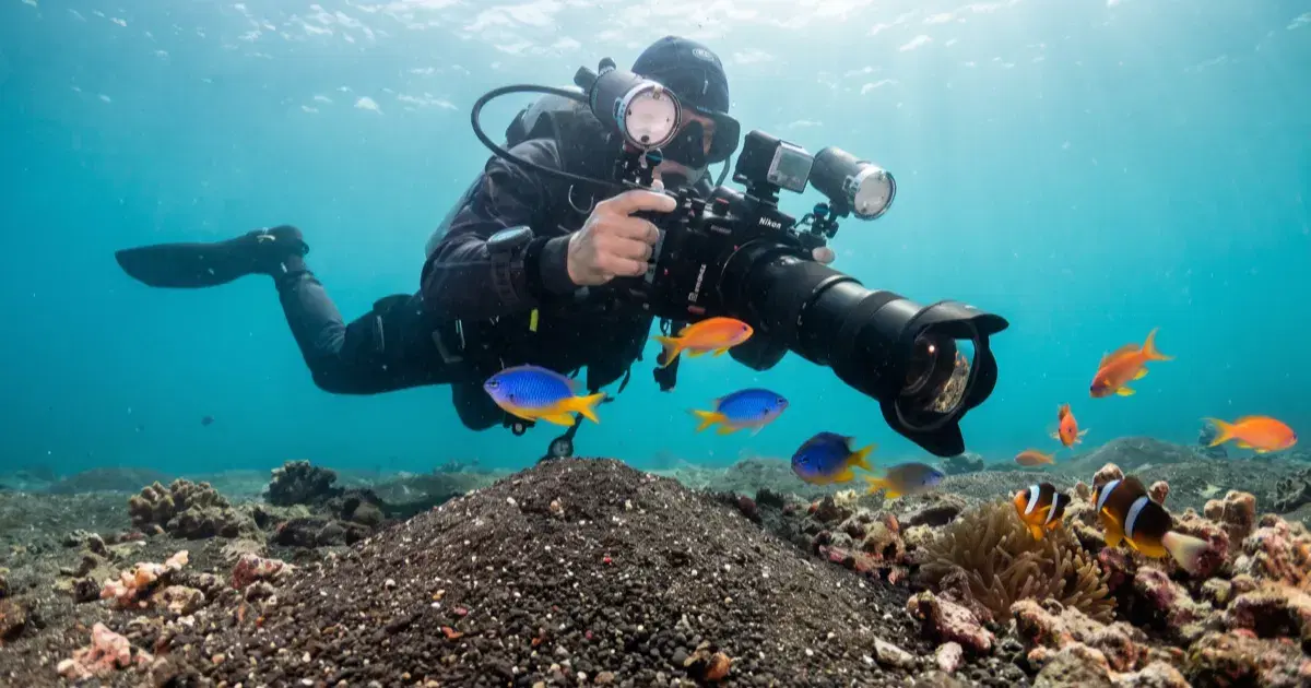 Best Diving in Luzon: Anilao, Subic Bay, and Beyond