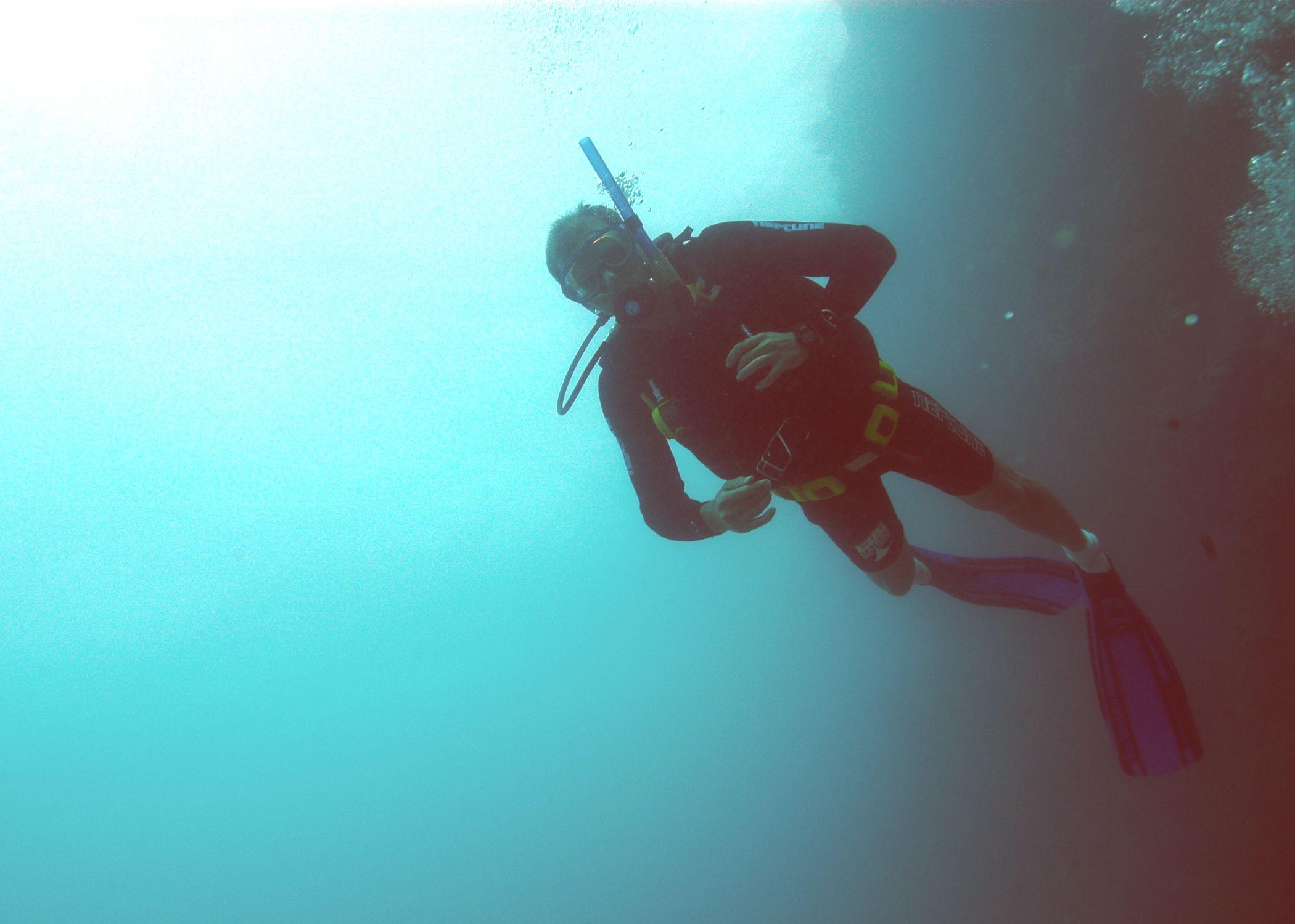 Reef Manta Ray